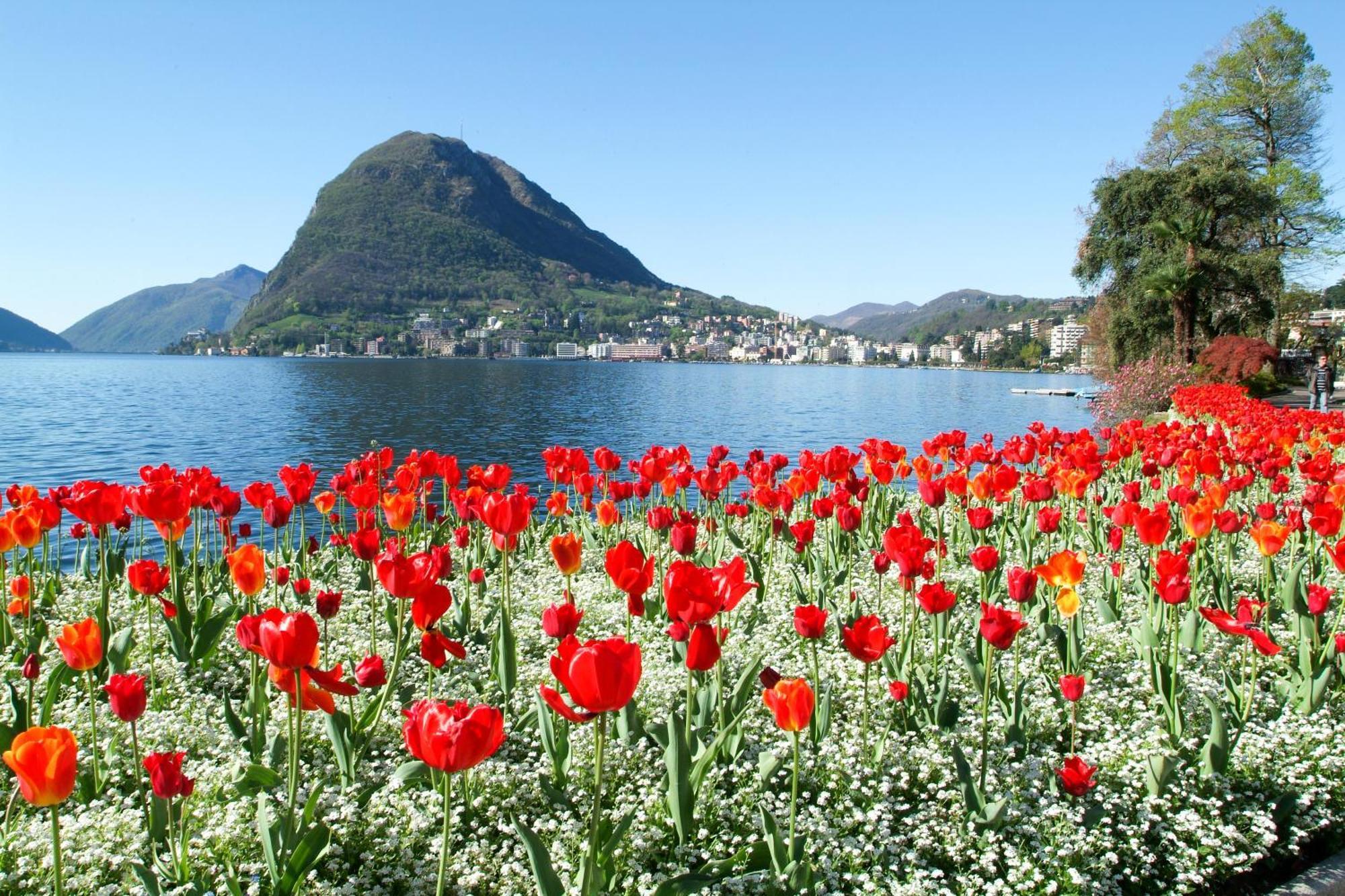 Ferienhaus In Lugano - Happy Rentals Buitenkant foto